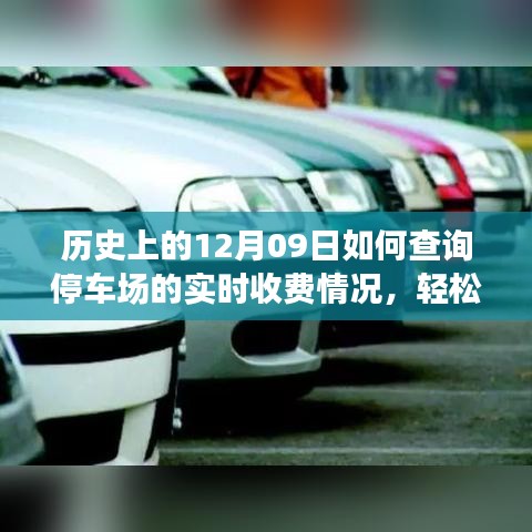 如何查詢停車場實時收費情況？詳細(xì)步驟指南（歷史上的12月09日版）