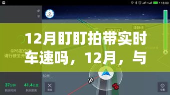 12月盯盯拍實時車速探尋美景之旅，與自然共舞，內(nèi)心寧靜之旅