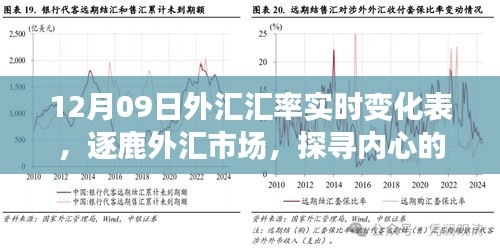 揭秘外匯市場(chǎng)風(fēng)云變幻，探尋匯率背后的故事——12月09日外匯匯率實(shí)時(shí)變化表解析