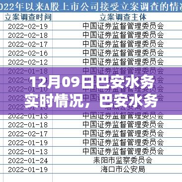 巴安水務(wù)實時情況詳解與操作指南，初學(xué)者與進(jìn)階用戶適用的任務(wù)指南（12月09日）