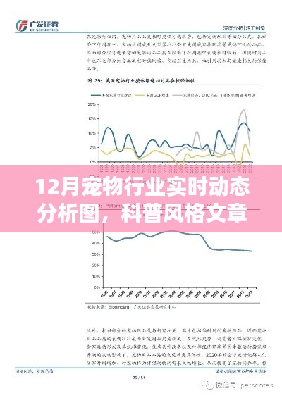 揭秘寵物行業(yè)趨勢，12月寵物行業(yè)實時動態(tài)科普分析圖