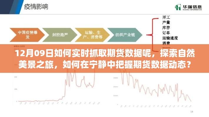 探索自然美景之旅與實(shí)時(shí)抓取期貨數(shù)據(jù)，寧?kù)o中的動(dòng)態(tài)把握策略