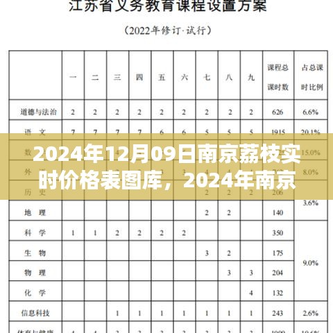 2024年南京荔枝實時價格表圖庫制作指南，從初學者到進階用戶全攻略