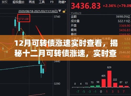 揭秘十二月可轉(zhuǎn)債漲速，實(shí)時(shí)查看與深度解讀報(bào)告
