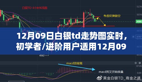 12月09日白銀TD走勢圖實時分析指南，適合初學者與進階用戶