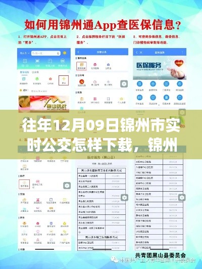 錦州市實(shí)時(shí)公交查詢APP下載指南，以往年12月09日為例的教程分享