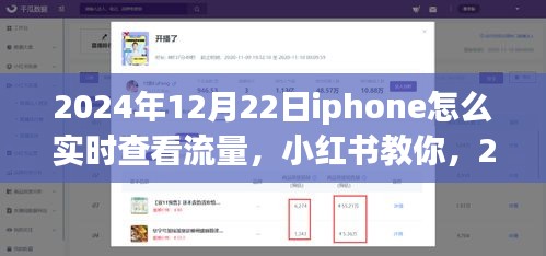 2024年12月22日iPhone實時查看流量教程，小紅書教你如何輕松監(jiān)控流量消耗