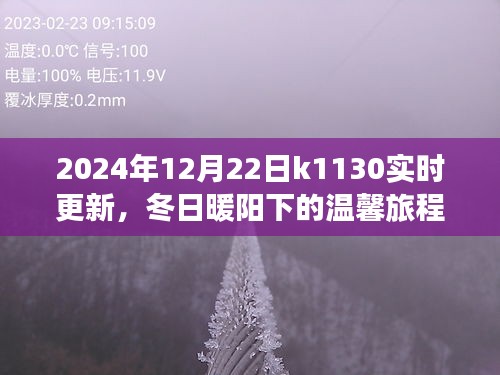 冬日暖陽下的溫馨旅程，K1130列車2024年12月22日實時更新行程揭秘