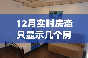 解決策略，針對12月實時房態(tài)僅顯示有限房間號問題的策略與建議