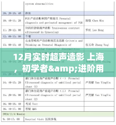 12月上海實時超聲造影操作全攻略，從初學(xué)者到進(jìn)階用戶的必備指南