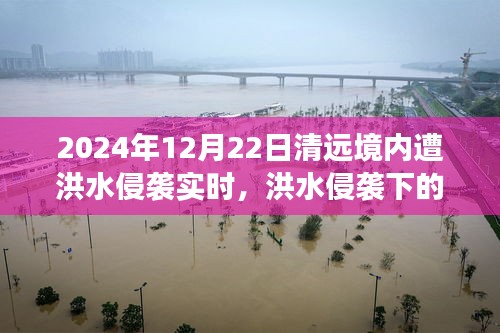 洪水侵襲下的清遠秘境，美食奇遇與實時報道