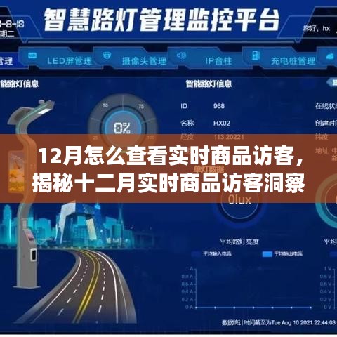 揭秘十二月實時商品訪客洞察，洞悉訪客動態(tài)與商業(yè)進展的秘訣