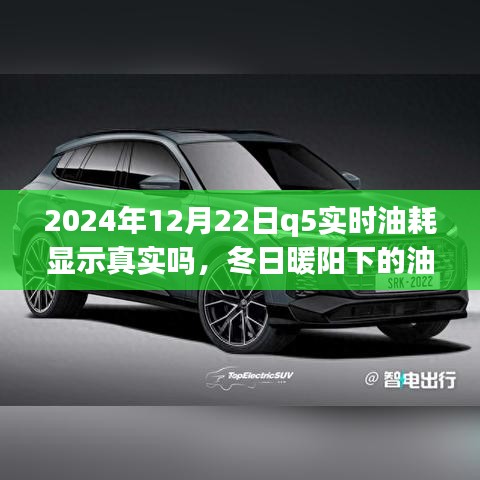 冬日暖陽(yáng)下的真相探尋，2024年Q5實(shí)時(shí)油耗顯示的可信度與友情之旅