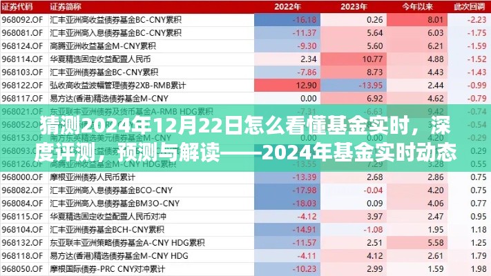 揭秘2024年基金實時動態(tài)洞察系統(tǒng)，深度評測、預(yù)測與解讀的未來趨勢