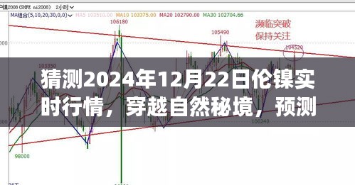 倫鎳行情預(yù)測與心靈之旅，穿越自然秘境，探索2024年倫鎳實時行情的奇妙交織