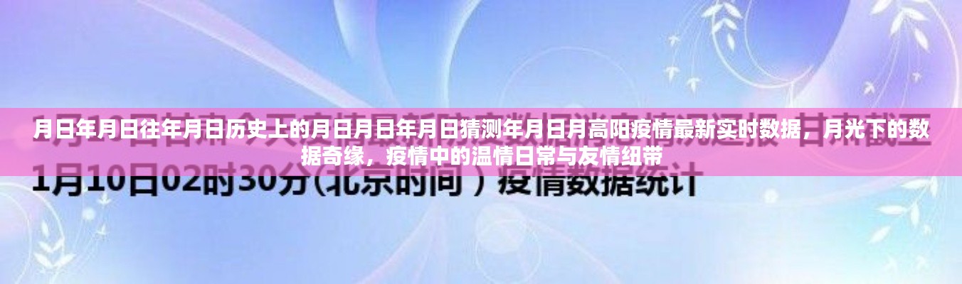 月高陽疫情最新實(shí)時數(shù)據(jù)與月光下的數(shù)據(jù)奇緣，歷史視角下的溫情日常與友情紐帶