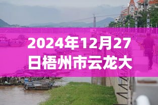 梧州市云龍大橋?qū)崟r(shí)水位監(jiān)測(cè)指南，以初學(xué)者和進(jìn)階用戶視角看水位監(jiān)測(cè)