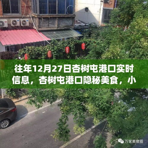 杏樹屯港口，美食秘境與實(shí)時(shí)信息的探索之旅