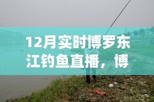 博羅東江畔的釣魚(yú)盛宴，12月實(shí)時(shí)釣魚(yú)直播開(kāi)啟！