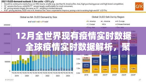 全球疫情實(shí)時(shí)數(shù)據(jù)解析，聚焦12月疫情動(dòng)態(tài)與動(dòng)態(tài)變化