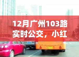 揭秘廣州公交新體驗，小紅書推薦下的廣州公交103路實時動態(tài)（12月版）