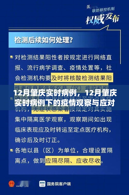 關(guān)于肇慶市實時病例的觀察與應對策略之我見，疫情下的深度探討