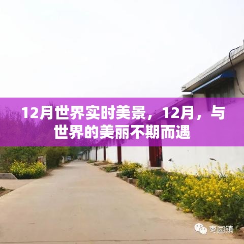 12月世界美景盡收眼底，與全球美麗的不期之約