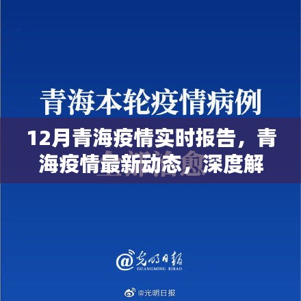 青海疫情深度解析，十二月實時報告與最新動態(tài)