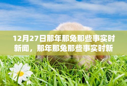 那年那兔時事新聞追蹤解讀指南，從初學(xué)者到進階用戶的步驟指南