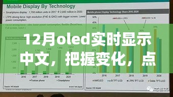 12月OLED中文實(shí)時(shí)顯示，把握變化，點(diǎn)亮未來(lái)——展現(xiàn)你的中文魅力