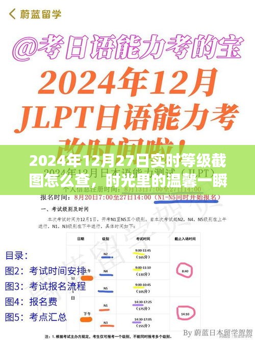 2024年12月27日等級(jí)截圖揭秘，時(shí)光溫馨一瞬，友誼見(jiàn)證時(shí)刻