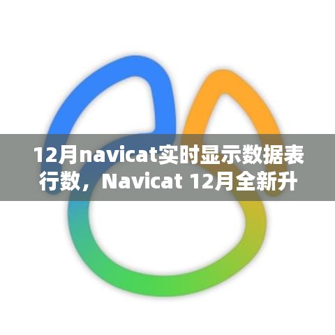 Navicat 12月升級(jí)亮點(diǎn)，實(shí)時(shí)數(shù)據(jù)表行數(shù)顯示，科技助力數(shù)據(jù)管理便捷性