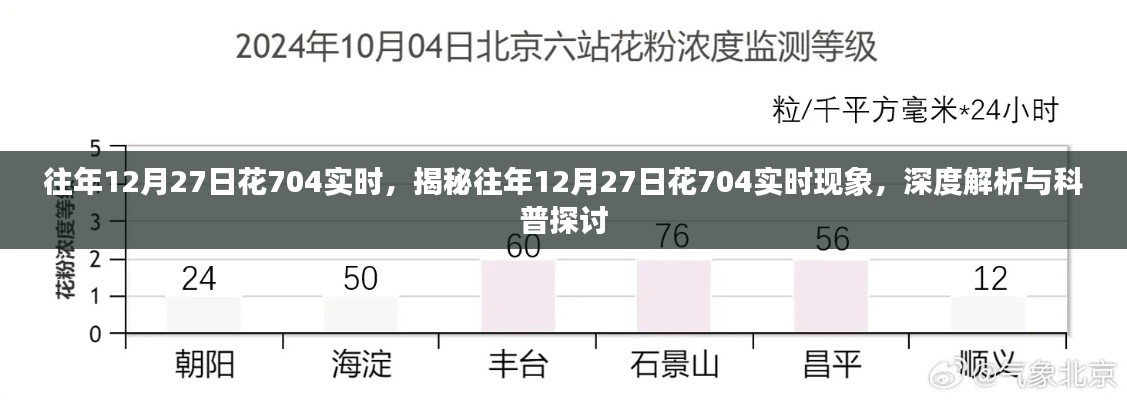 揭秘與深度解析，往年12月27日花704實(shí)時(shí)現(xiàn)象探討