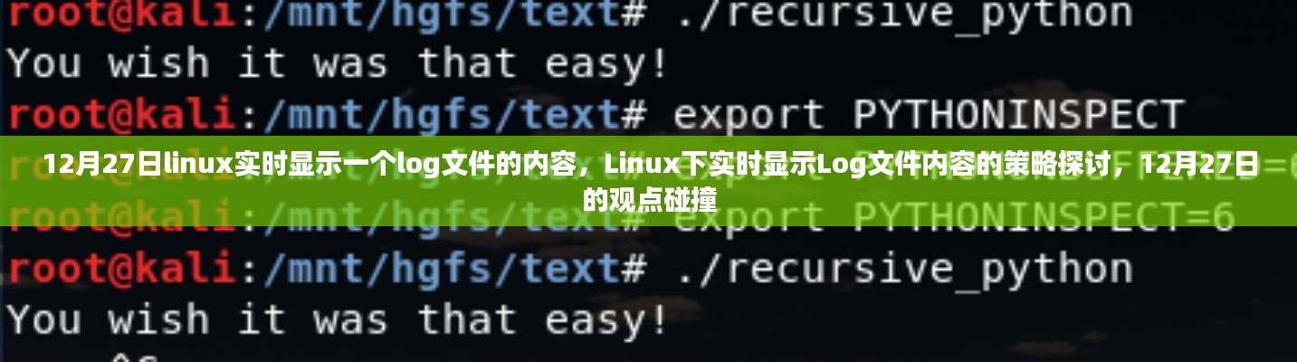 Linux下實(shí)時(shí)顯示Log文件內(nèi)容的策略探討，觀點(diǎn)碰撞與實(shí)時(shí)更新技術(shù)