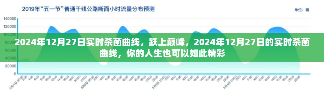 躍上巔峰，實(shí)時(shí)殺菌曲線揭秘人生精彩篇章，2024年12月27日記錄時(shí)刻