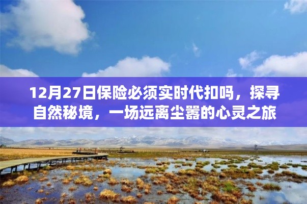 保險(xiǎn)代扣與心靈之旅，探尋自然秘境的遠(yuǎn)離塵囂之旅