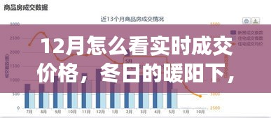 冬陽下的實時成交價格探索之旅，與友共賞奇妙之旅