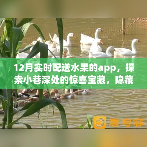 探索小巷深處的鮮果寶藏，12月實時配送水果APP驚喜上線