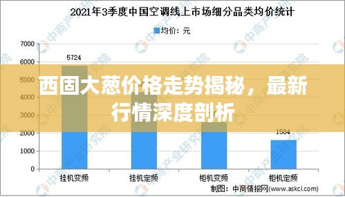 西固大蔥價格走勢揭秘，最新行情深度剖析