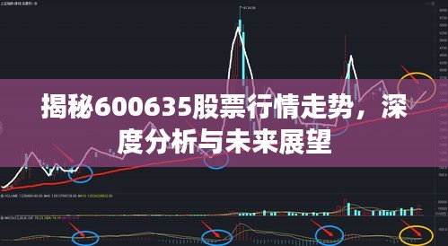 揭秘600635股票行情走勢，深度分析與未來展望