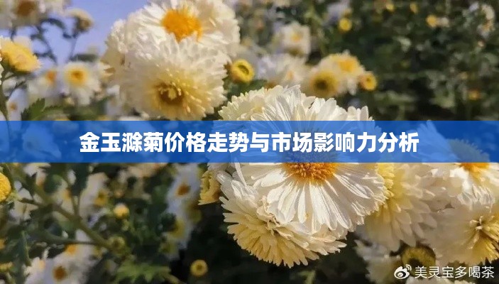 金玉滁菊價格走勢與市場影響力分析