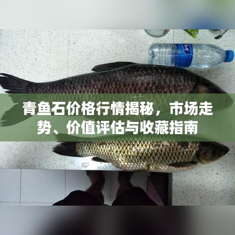 青魚石價格行情揭秘，市場走勢、價值評估與收藏指南