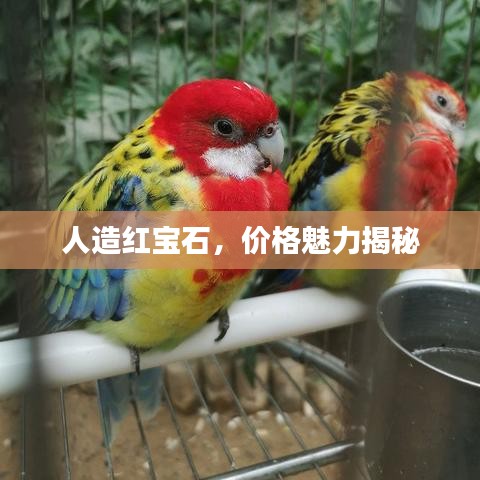 人造紅寶石，價(jià)格魅力揭秘