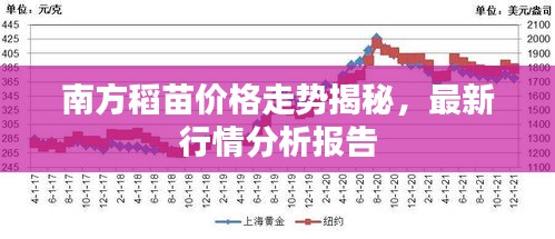 南方稻苗價(jià)格走勢揭秘，最新行情分析報(bào)告