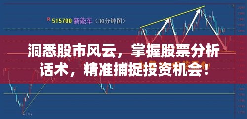 洞悉股市風云，掌握股票分析話術(shù)，精準捕捉投資機會！