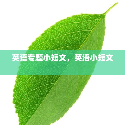 英語專題小短文，英浯小短文 