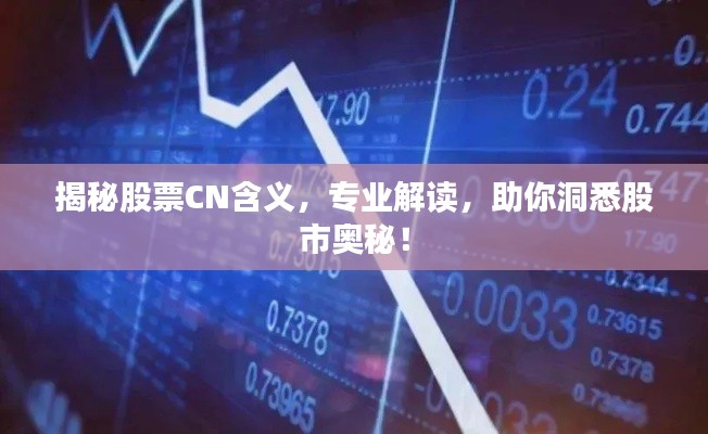 揭秘股票CN含義，專(zhuān)業(yè)解讀，助你洞悉股市奧秘！