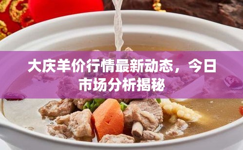 大慶羊價(jià)行情最新動態(tài)，今日市場分析揭秘