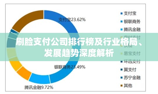 刷臉支付公司排行榜及行業(yè)格局、發(fā)展趨勢深度解析