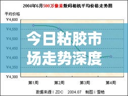 今日粘膠市場走勢深度解析，最新行情報告